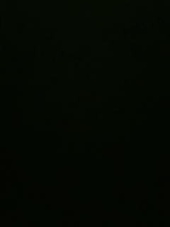 我愿化作人间的风雨陪着守护我的人