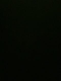 我愿化作人间的风雨陪着守护我的人