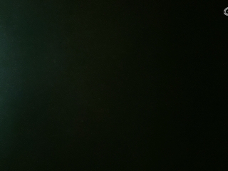 等风也等你