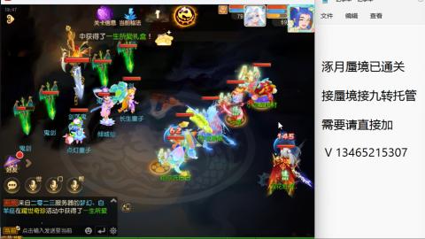 接九转蜃境托管~