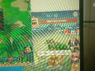 全网无前任 有也不承认