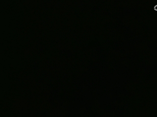 等风也等你
