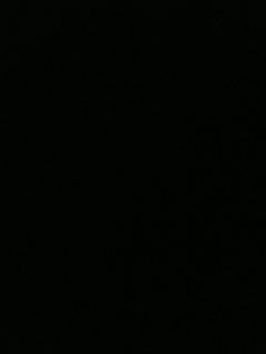 我愿化作人间的风雨陪着守护我的人