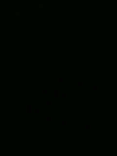我愿化作人间的风雨陪着守护我的人