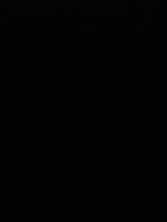 我愿化作人间的风雨陪着守护我的人