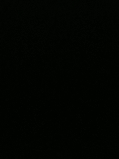 我愿化作人间的风雨陪着守护我的人