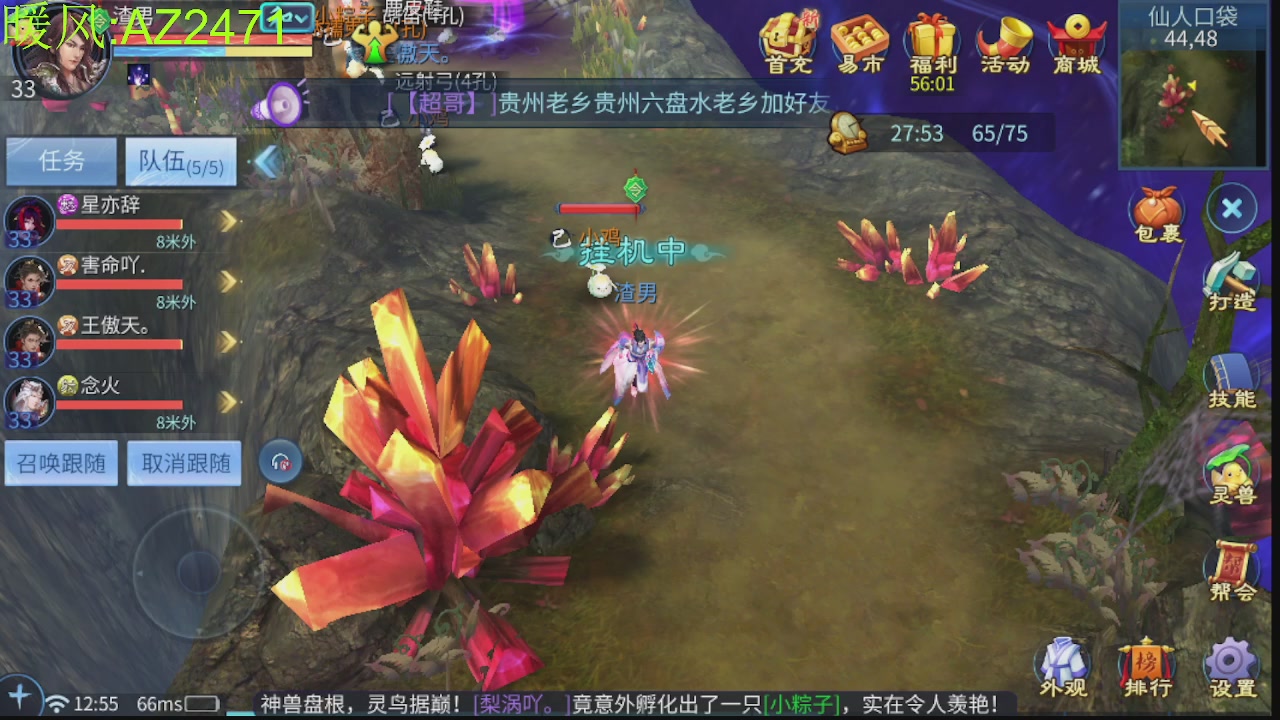 接托管，包强化，背饰打造