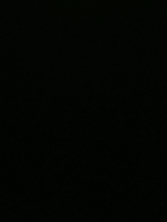 我愿化作人间的风雨陪着守护我的人