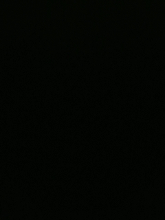 我愿化作人间的风雨陪着守护我的人