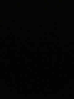 我愿化作人间的风雨陪着守护我的人