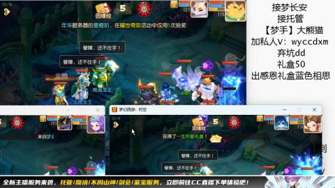 接大海龟活动最后俩天