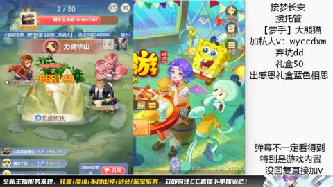 接大海龟活动最后俩天