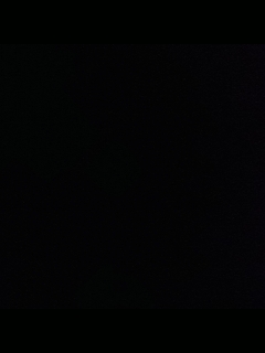 请叫我枪不黑的直播