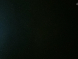 等风也等你