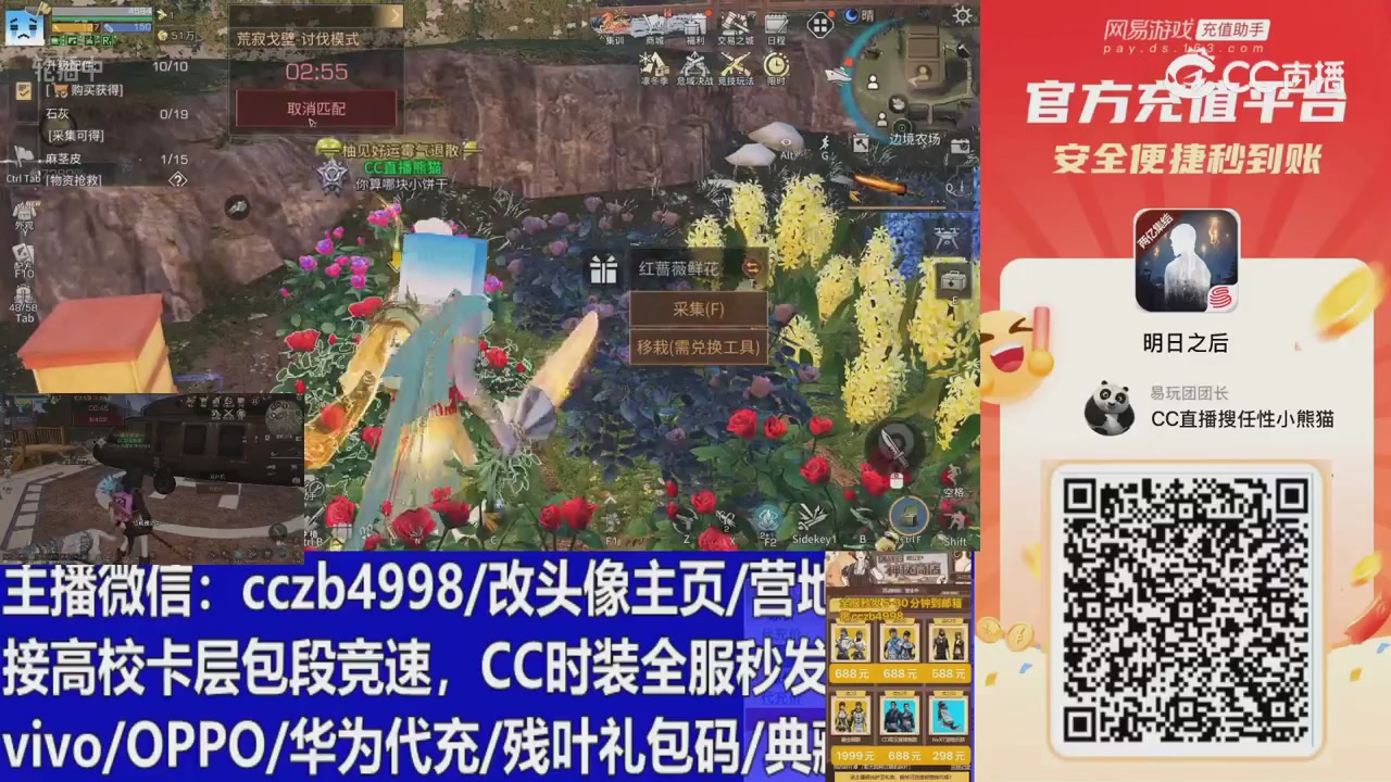 永久cc秒发，改头像主页，加v