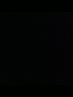 别翻了~就我了~