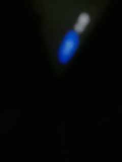 梦系千里帆ℊ的直播