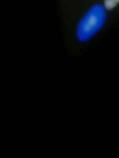 梦系千里帆ℊ的直播
