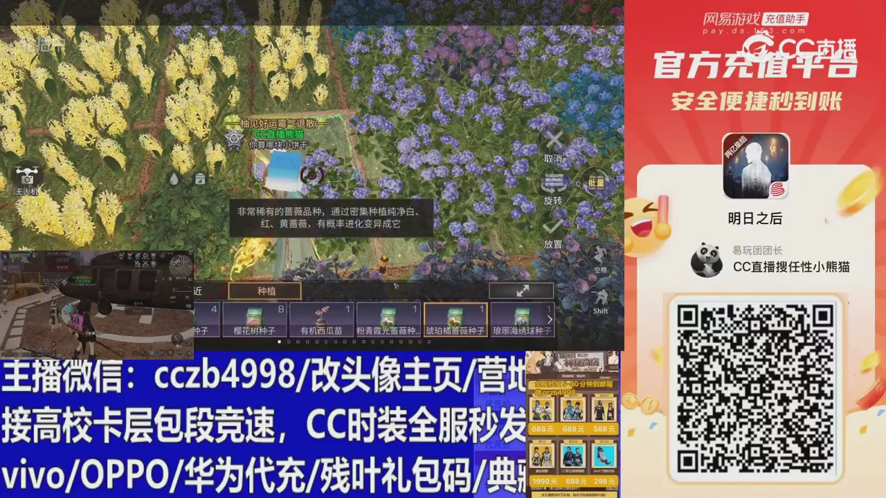 永久cc秒发，改头像主页，加v