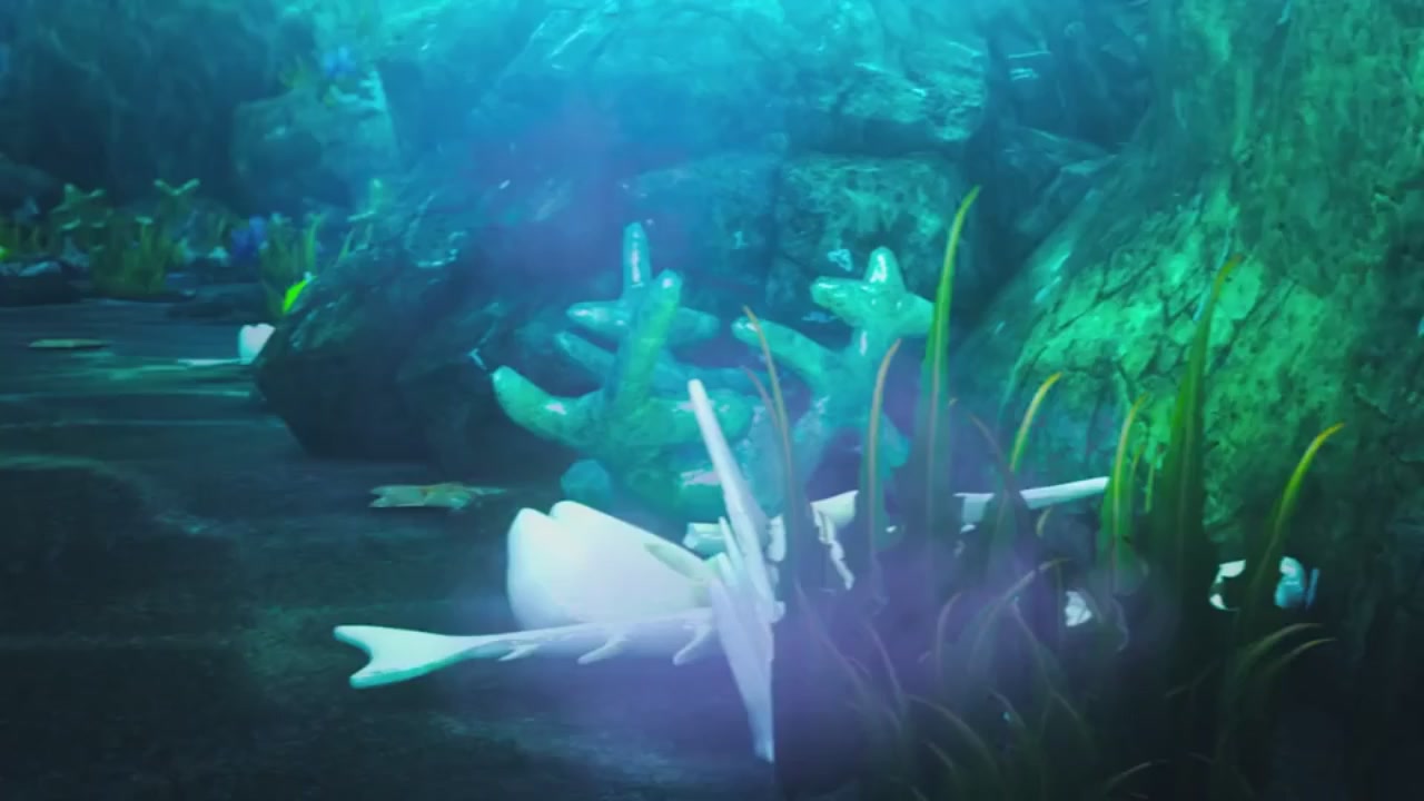 梦幻西游动画片第一季第10集