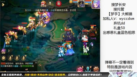 接大海龟活动最后俩天