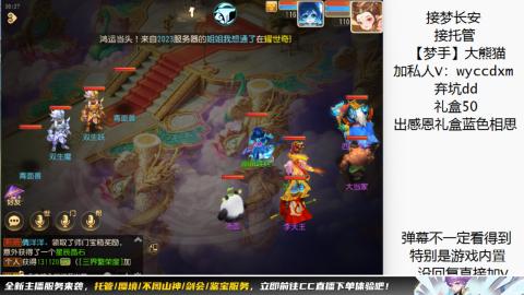 接大海龟活动最后俩天