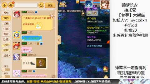 接大海龟活动最后俩天