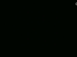 不要留下我一个人孤军奋战..