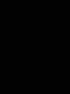 梦系千里帆ℊ的直播