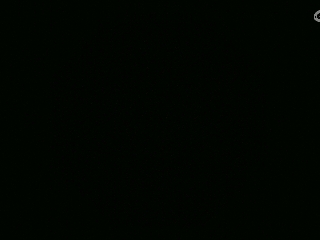 不要留下我一个人孤军奋战..