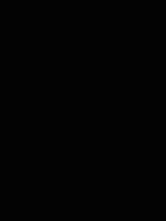 梦系千里帆ℊ的直播