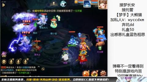 接大海龟活动最后俩天