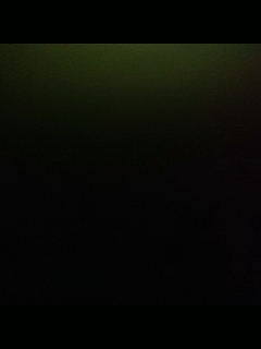 【鱼意】星野的直播