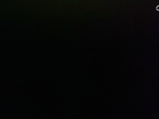 请叫我秦不黑的直播