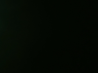 等风也等你
