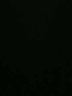 我愿化作人间的风雨陪着守护我的人