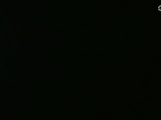 等风也等你
