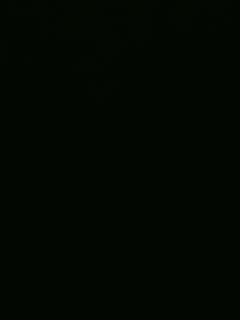 我愿化作人间的风雨陪着守护我的人
