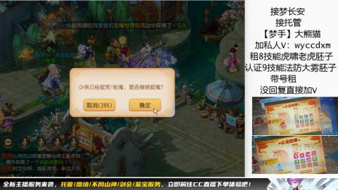 接大海龟活动最后俩天