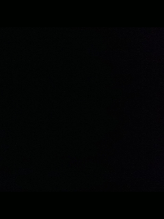 请叫我枪不黑的直播