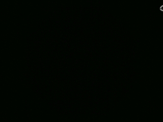 不要留下我一个人孤军奋战..