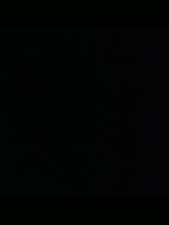 请叫我枪不黑的直播