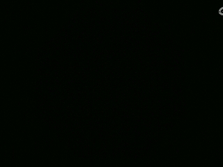 不要留下我一个人孤军奋战..
