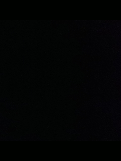 别翻了~就我了~