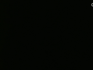 等风也等你