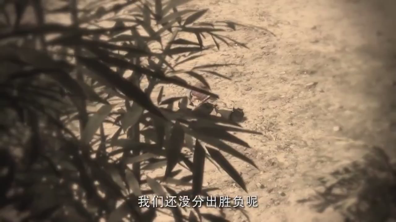 梦幻西游动画片第二季第11集