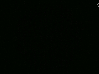 不要留下我一个人孤军奋战..