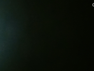 等风也等你