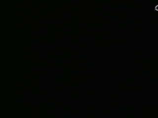 等风也等你