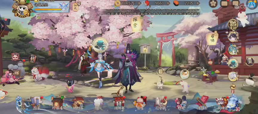 晴明扇投放点~扇来！